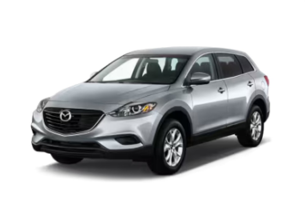 Standard SUV - image 2