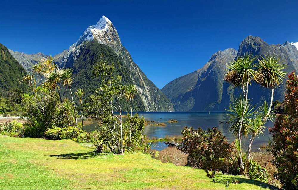 Relocation destination landscape