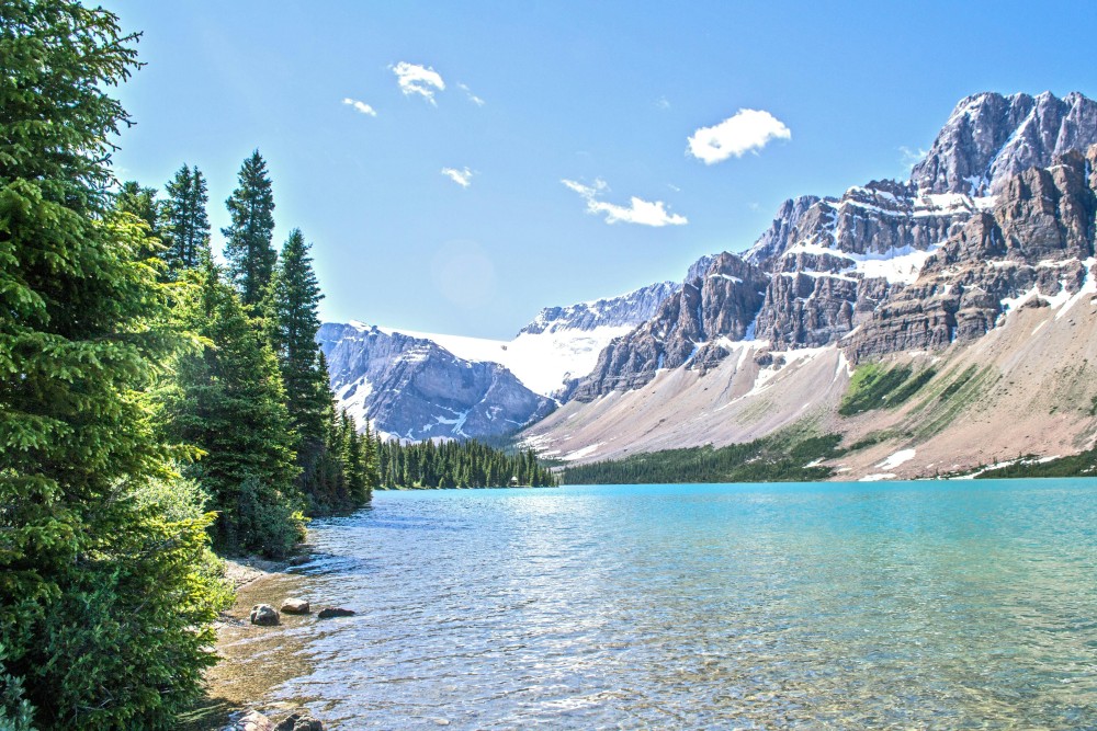 Relocation destination landscape