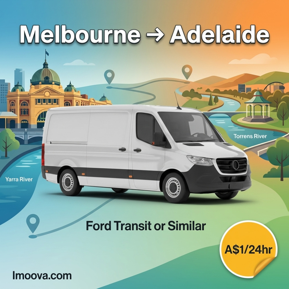 Ford Transit or Similar - image 1