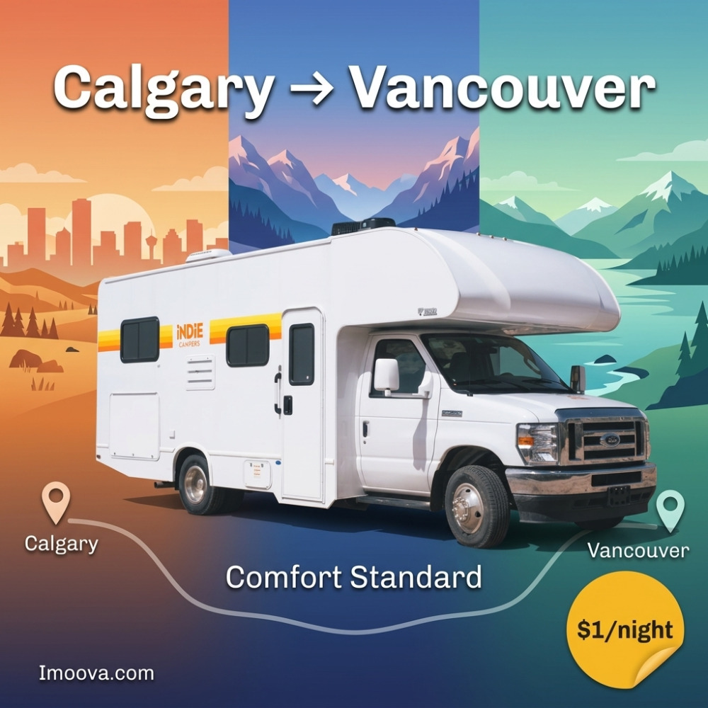 Comfort Standard - image 1