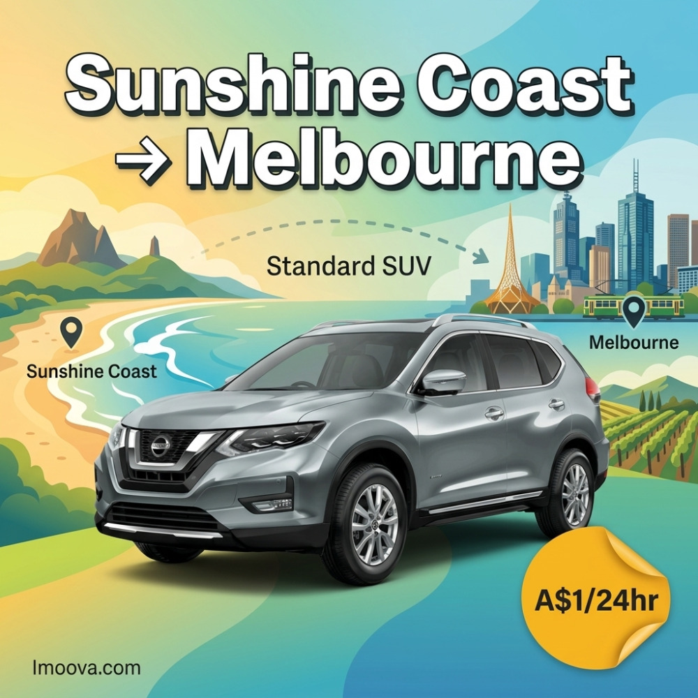 Standard SUV - image 1
