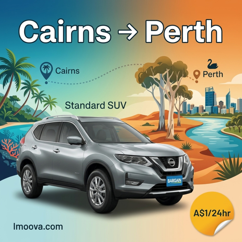 Standard SUV - image 1