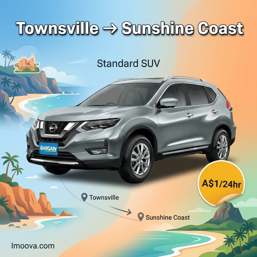 Standard SUV - image 1