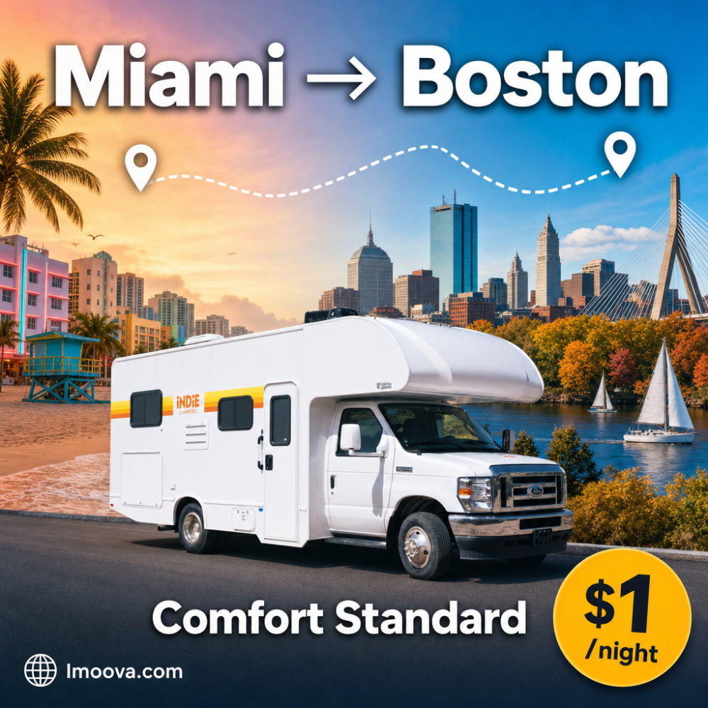 Comfort Standard - image 1