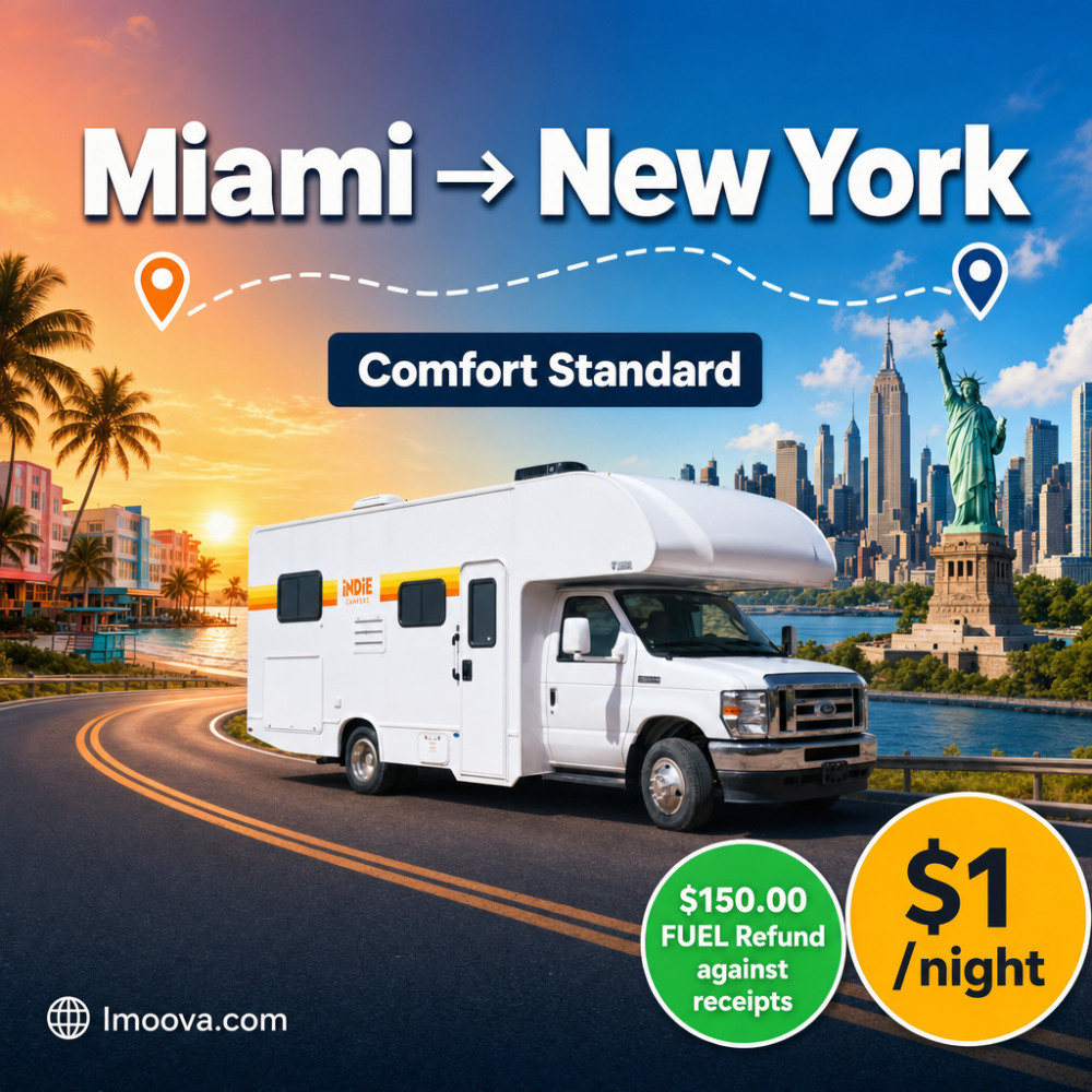 Comfort Standard - image 1