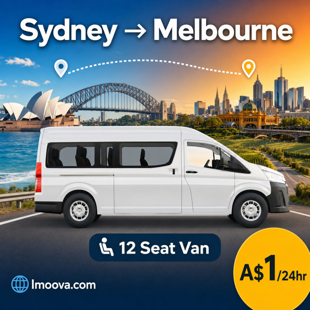 12 Seat Van - image 1