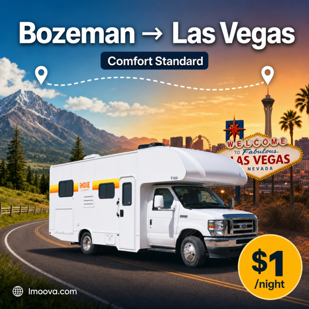 Comfort Standard - image 1