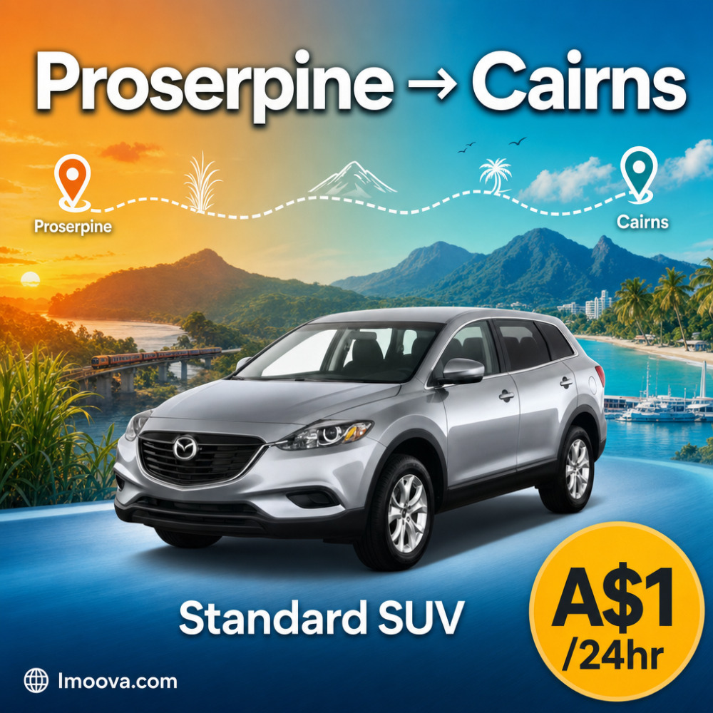 Standard SUV - image 1