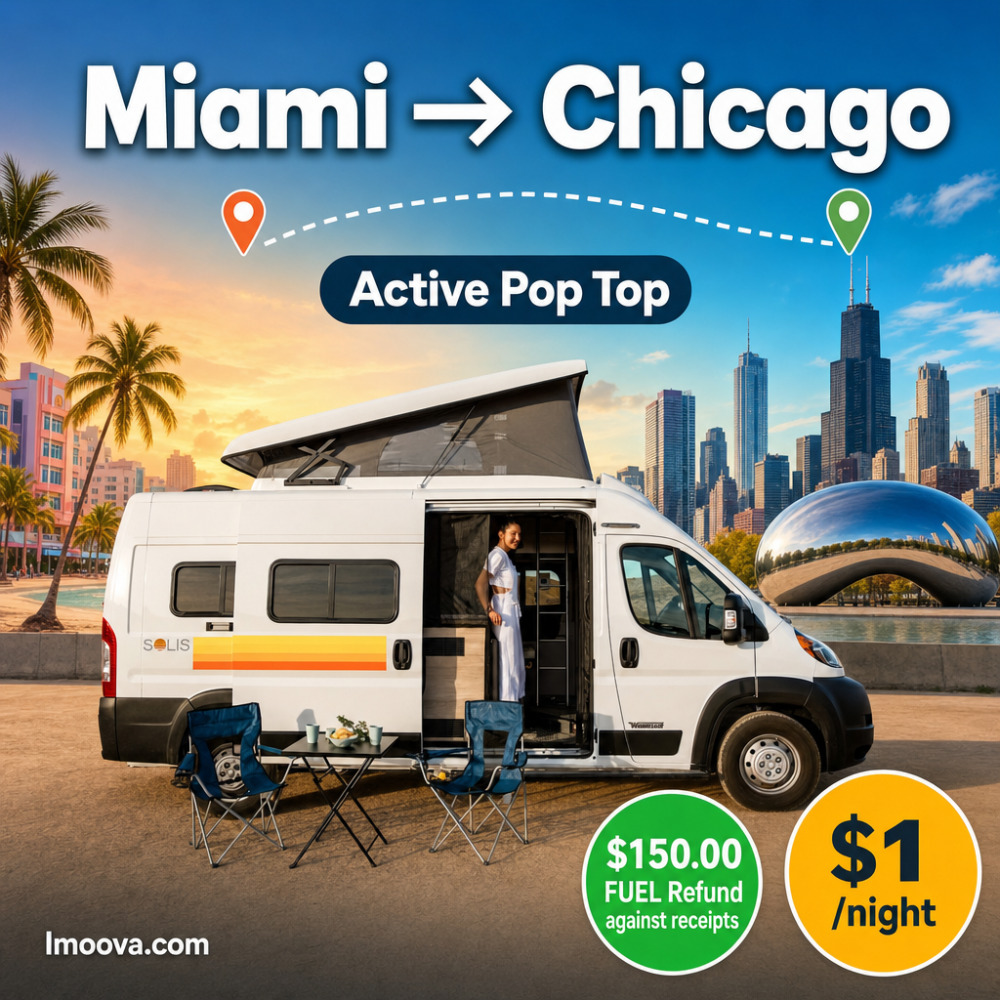 Active Pop Top - image 1