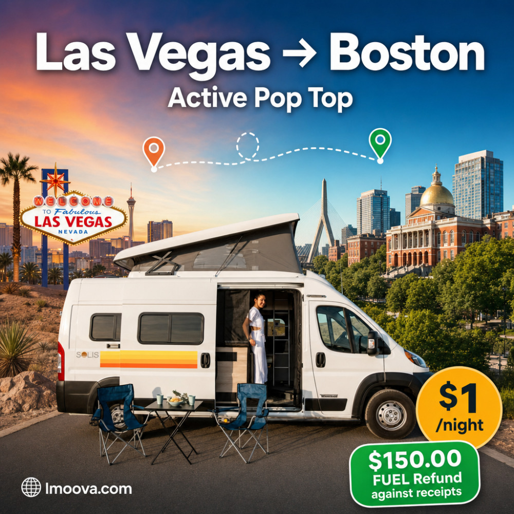 Active Pop Top - image 1