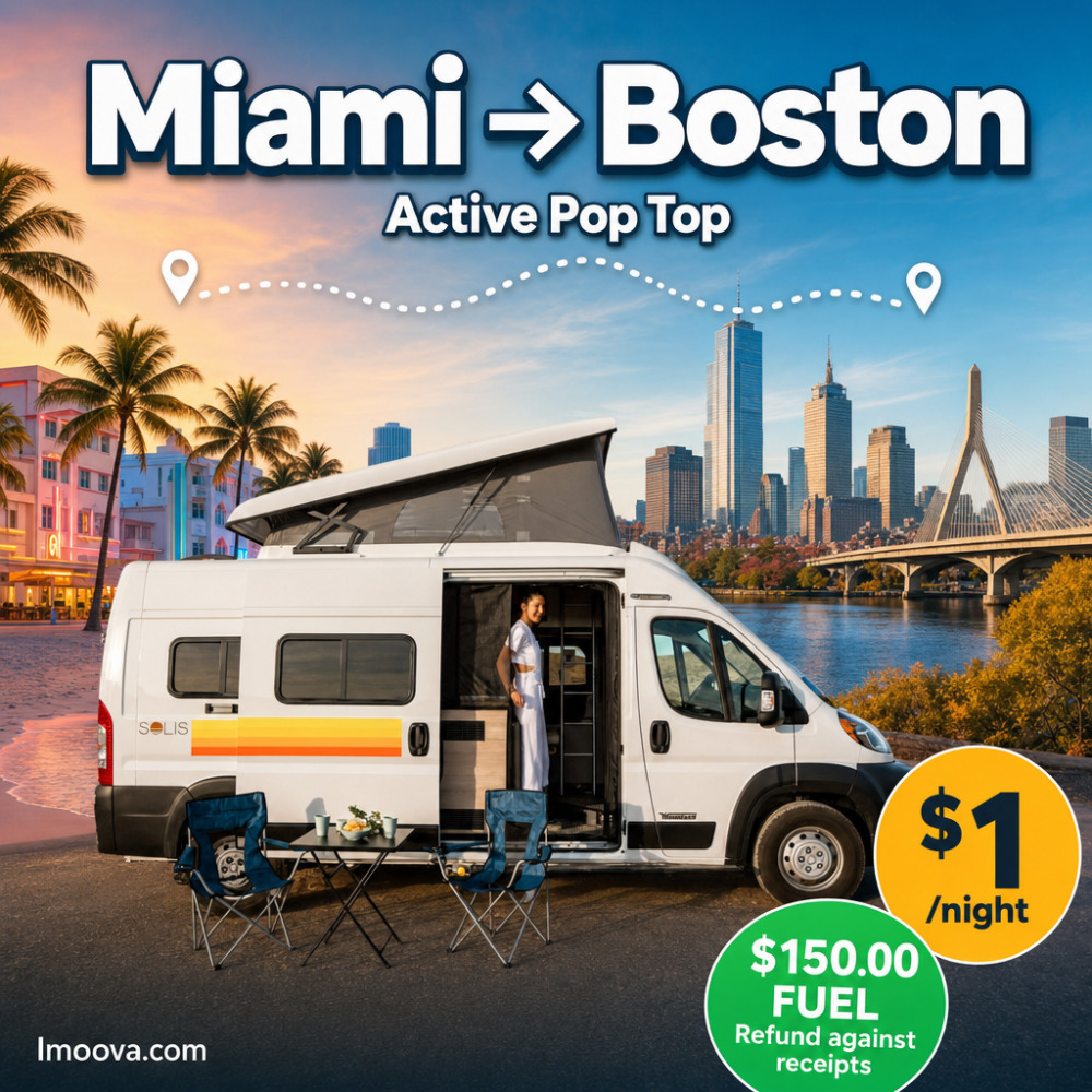 Active Pop Top - image 1