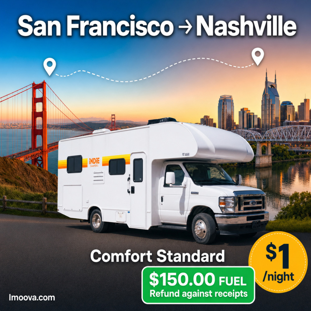 Comfort Standard - image 1