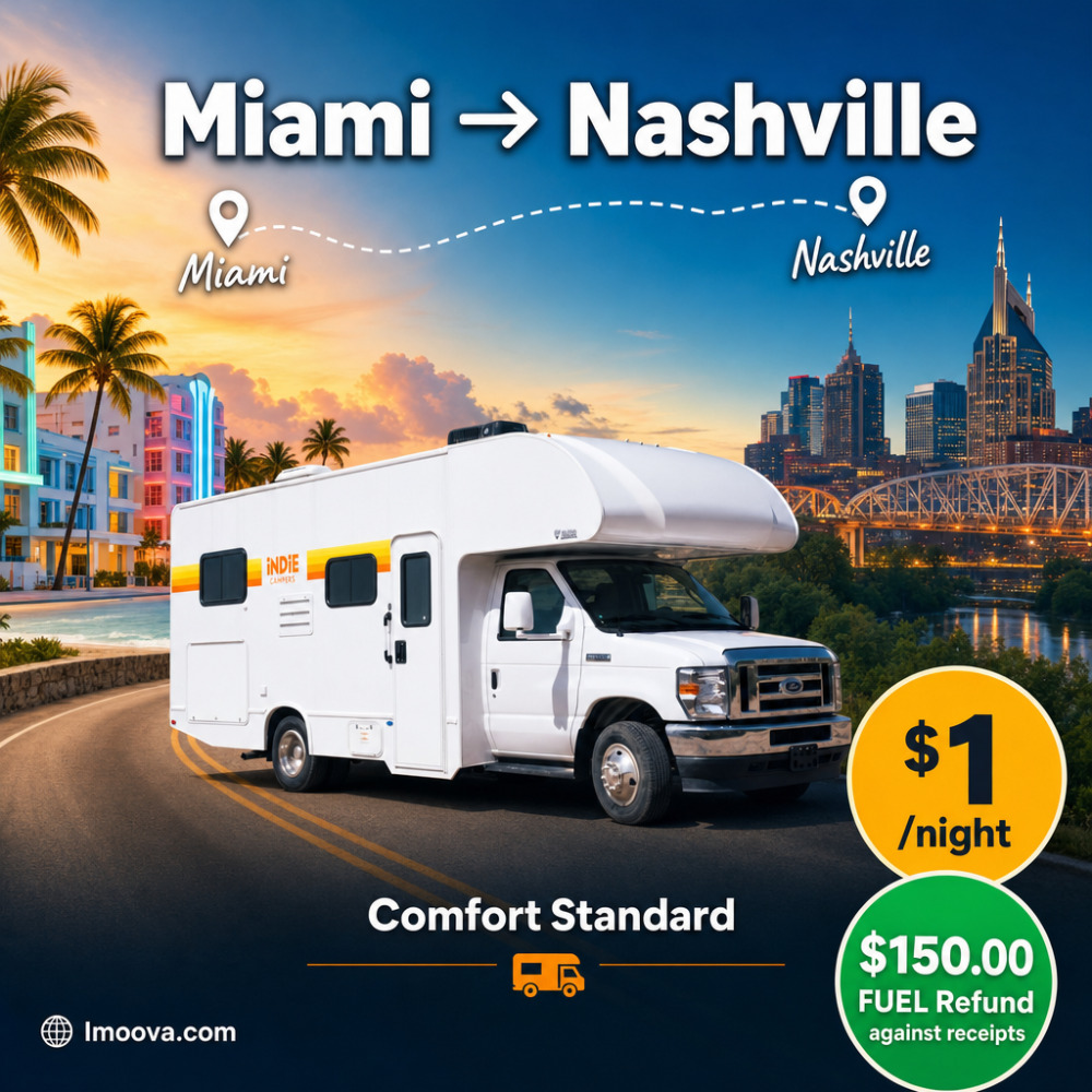 Comfort Standard - image 1
