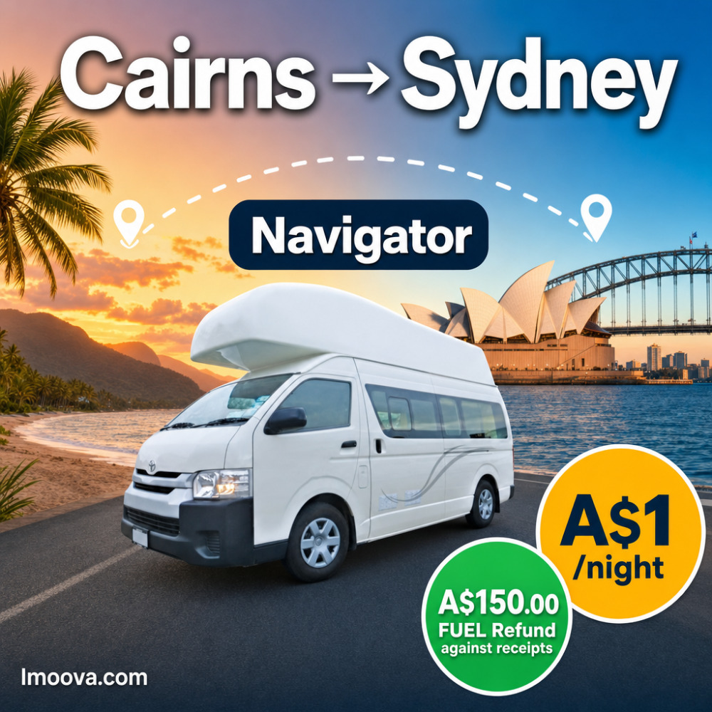 Navigator - image 1