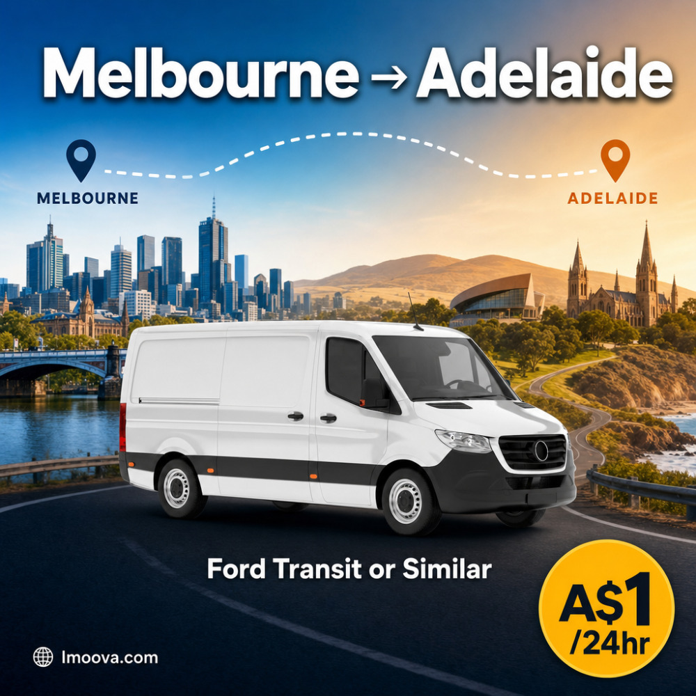 Ford Transit or Similar - image 1