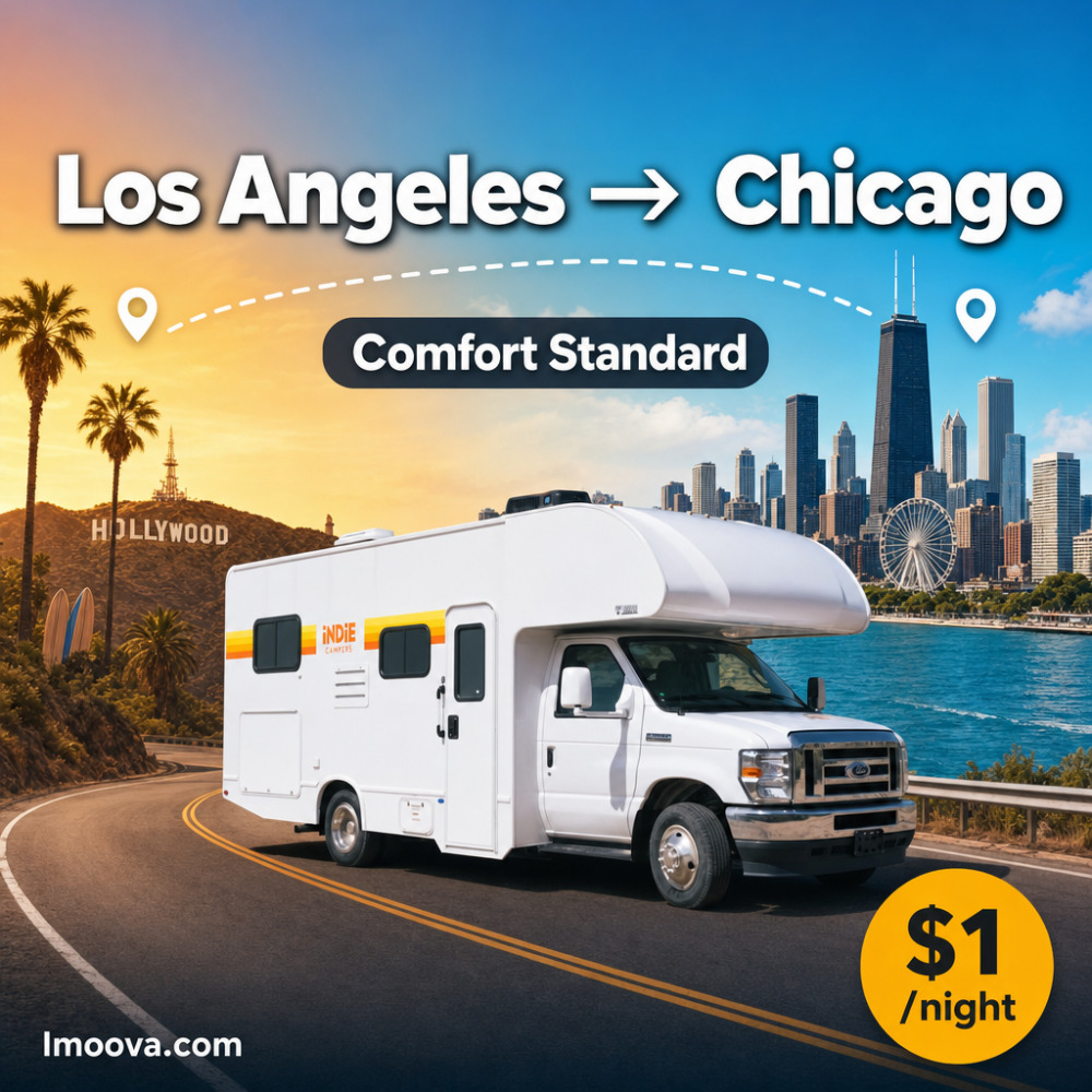 Comfort Standard - image 1