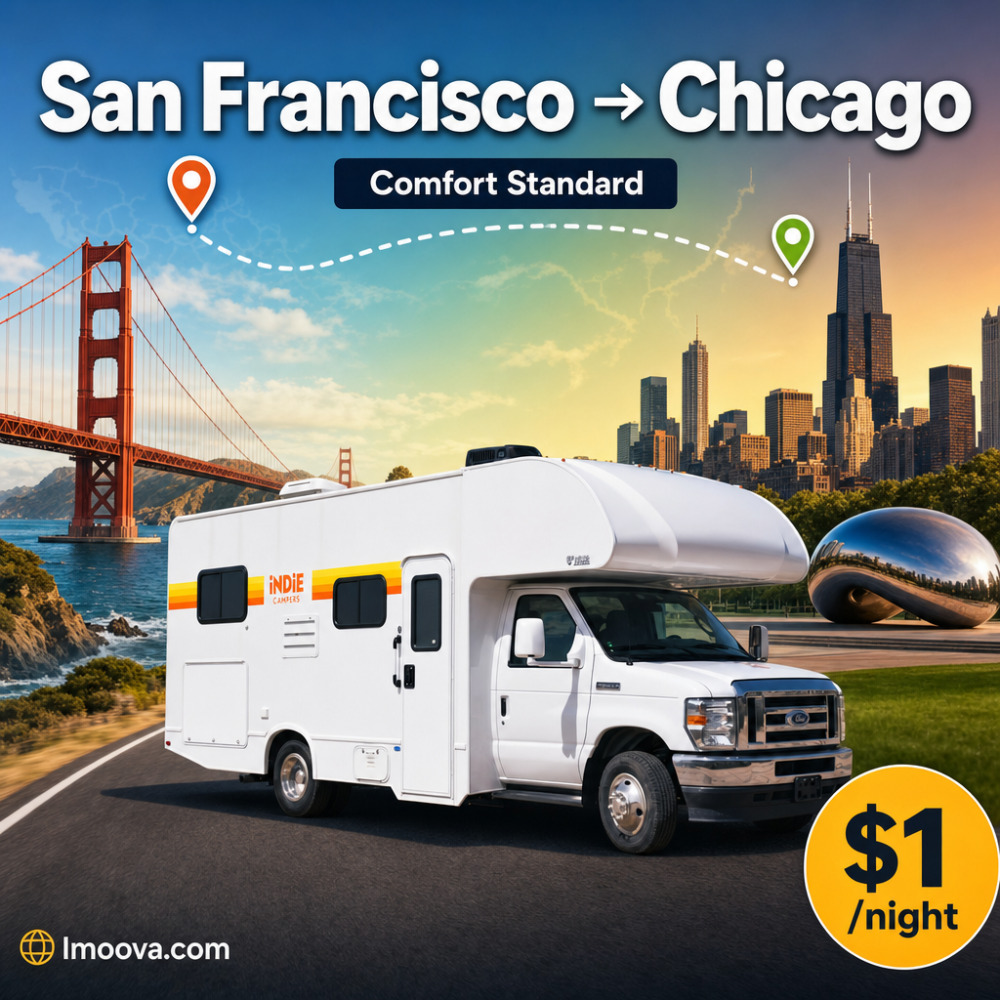 Comfort Standard - image 1