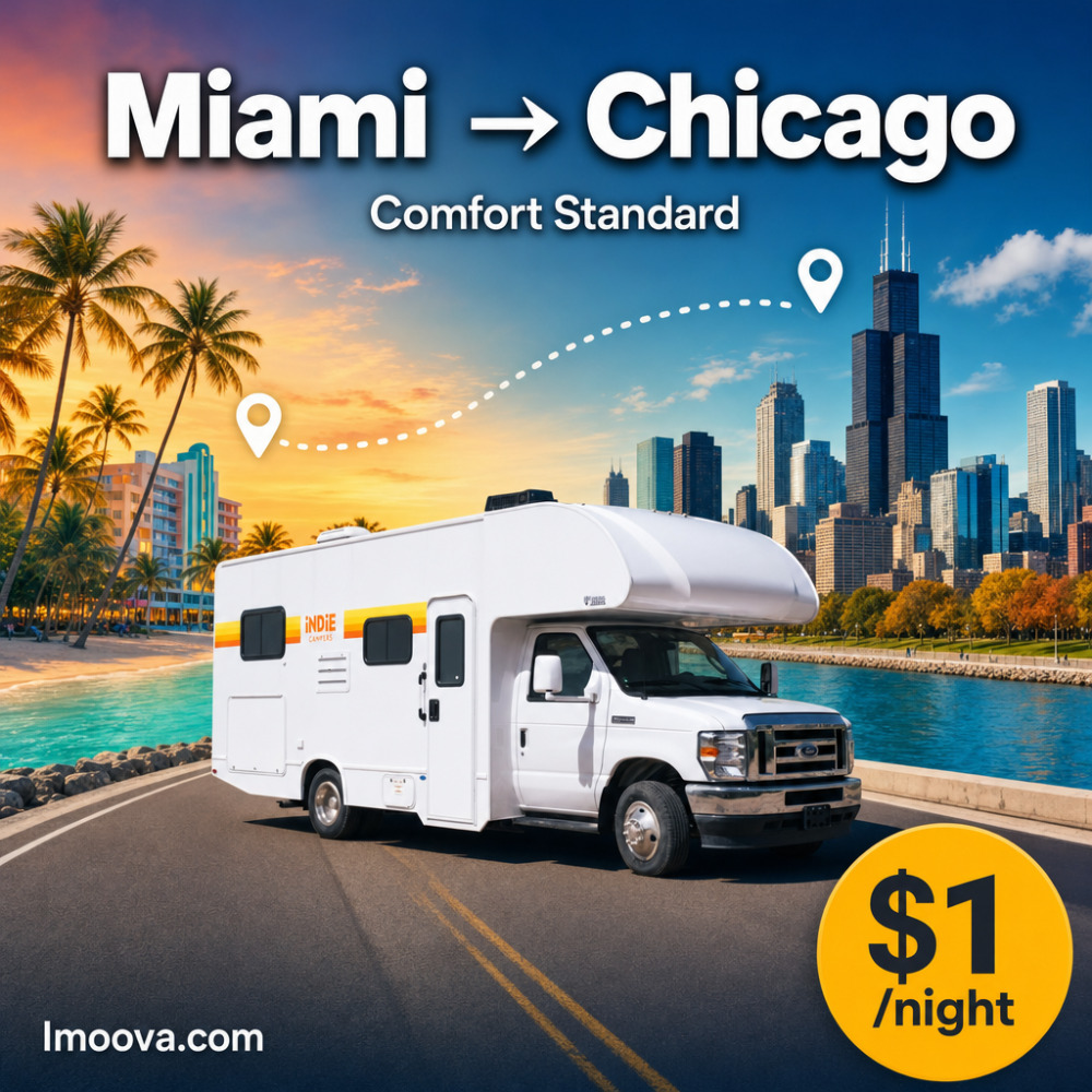 Comfort Standard - image 1