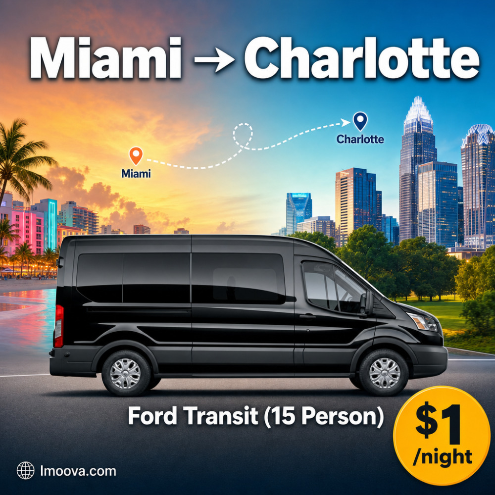 Ford Transit (15 Person) - image 1