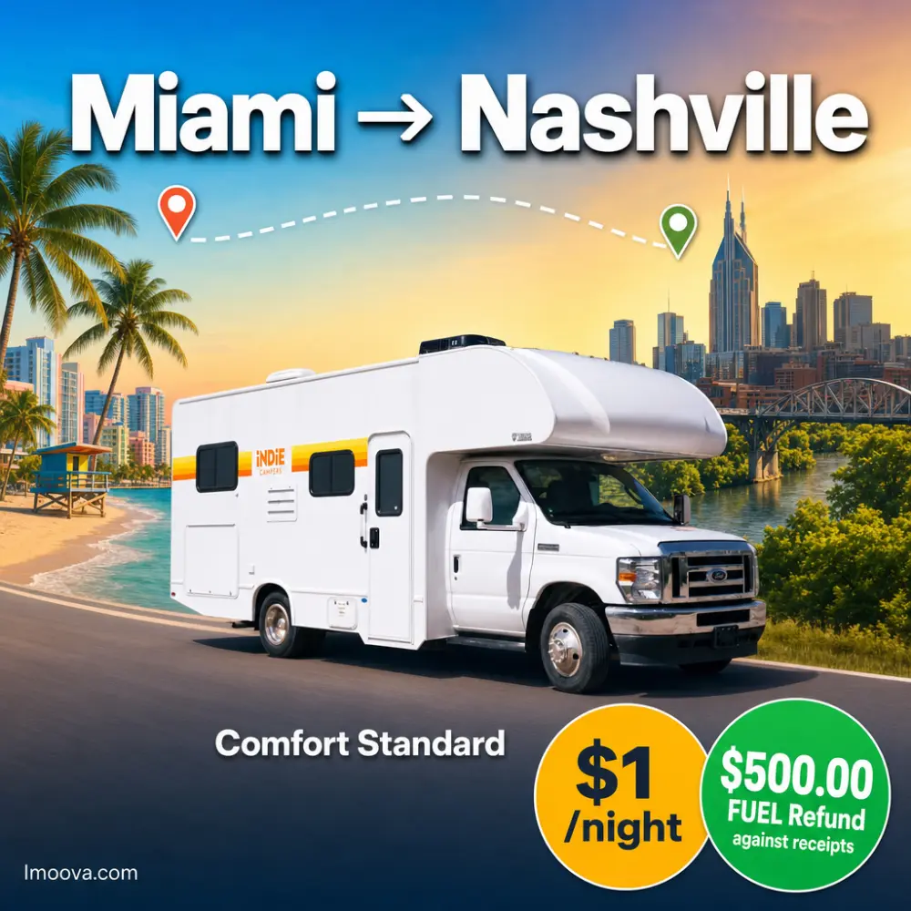 Comfort Standard - image 1