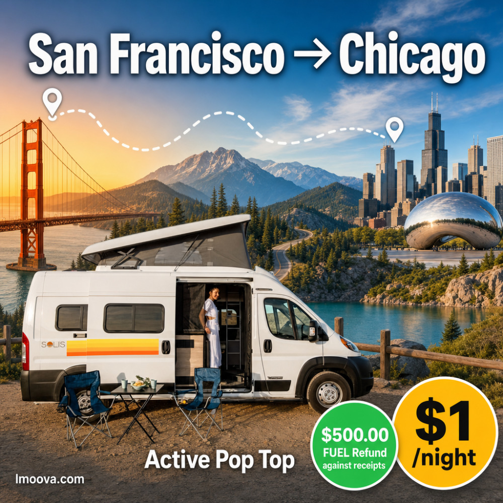 Active Pop Top - image 1