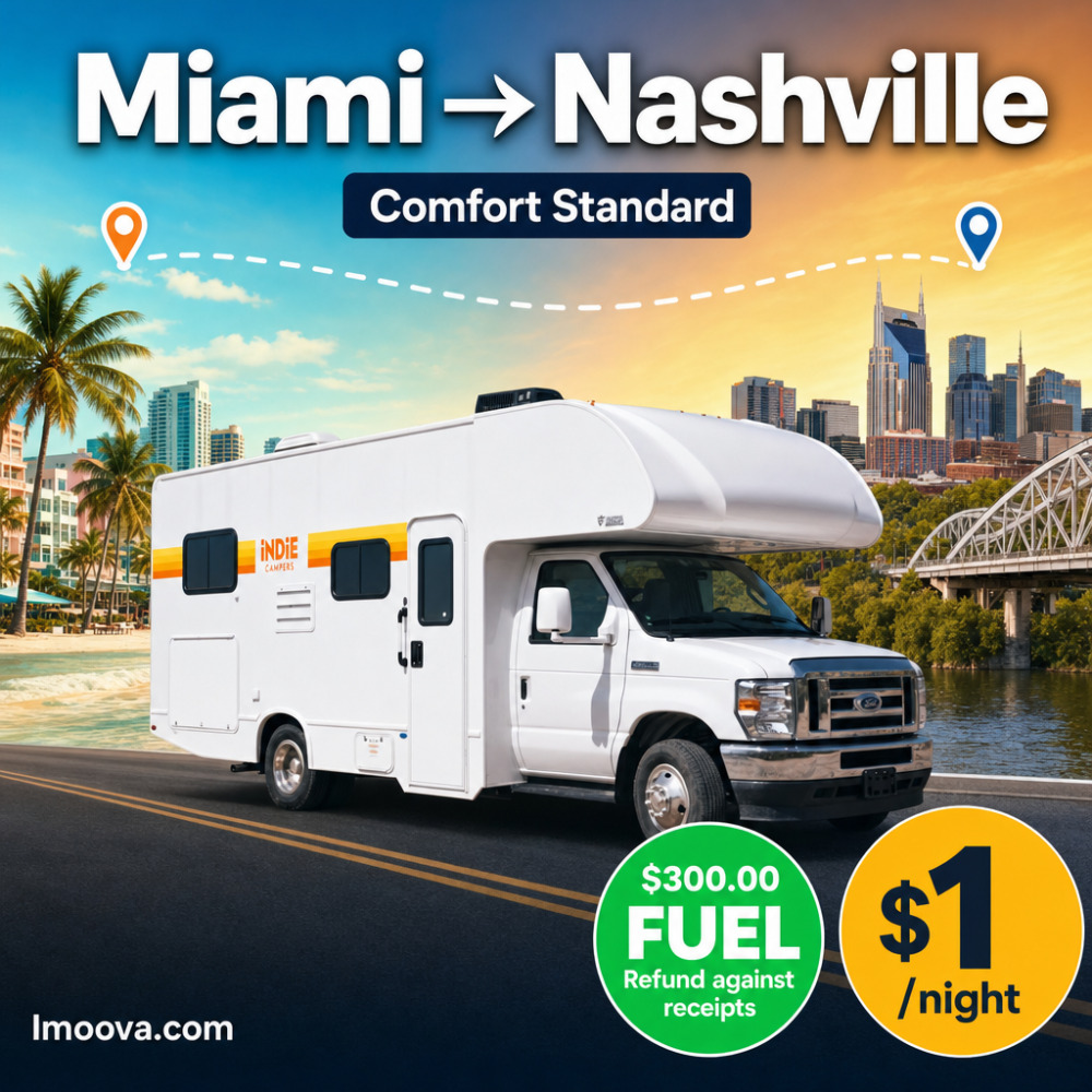 Comfort Standard - image 1