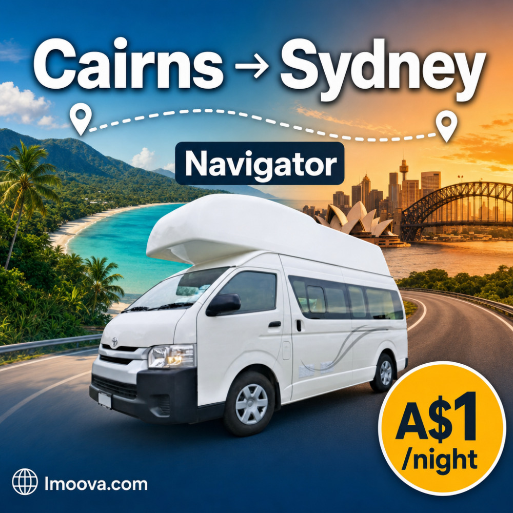Navigator - image 1