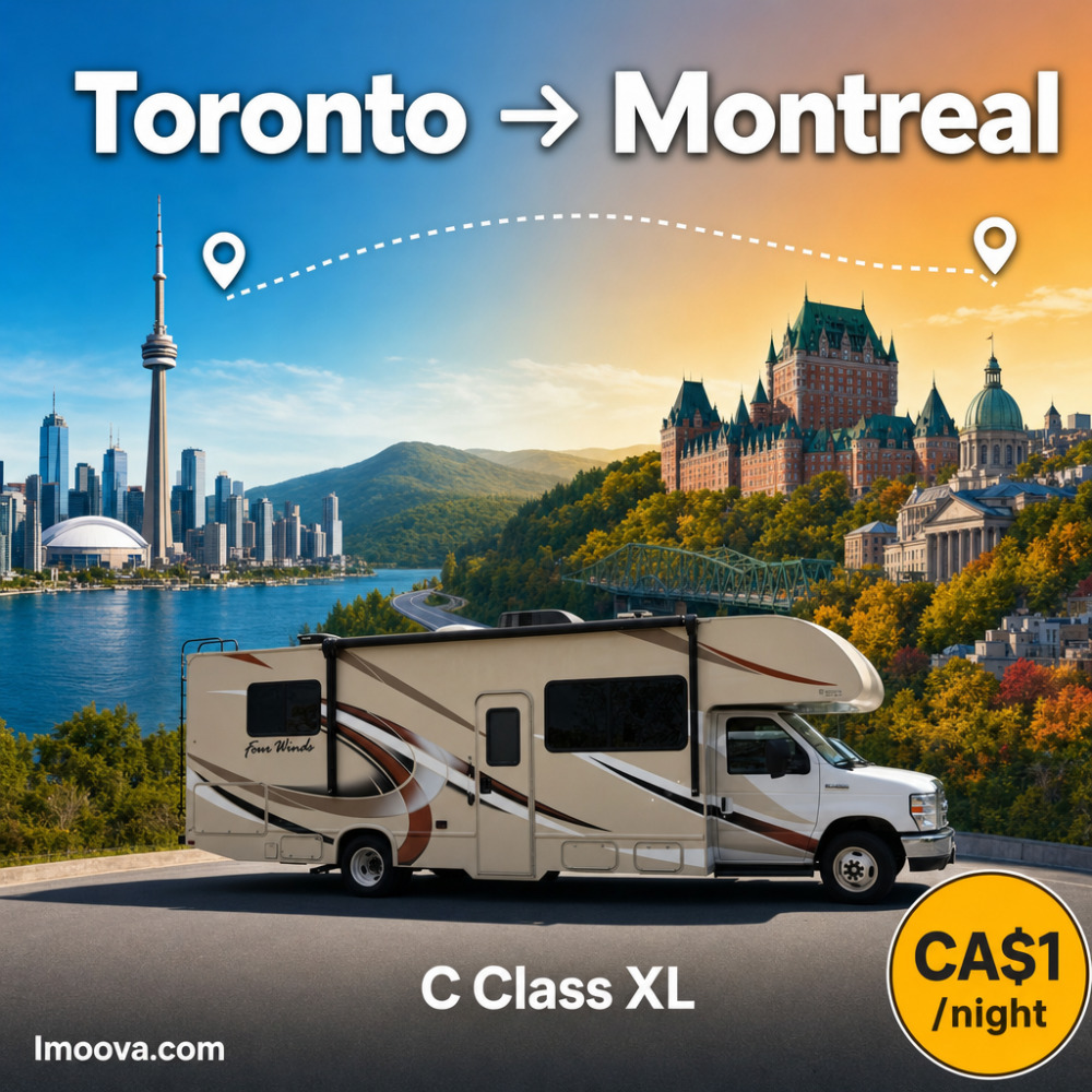 C Class XL - image 1