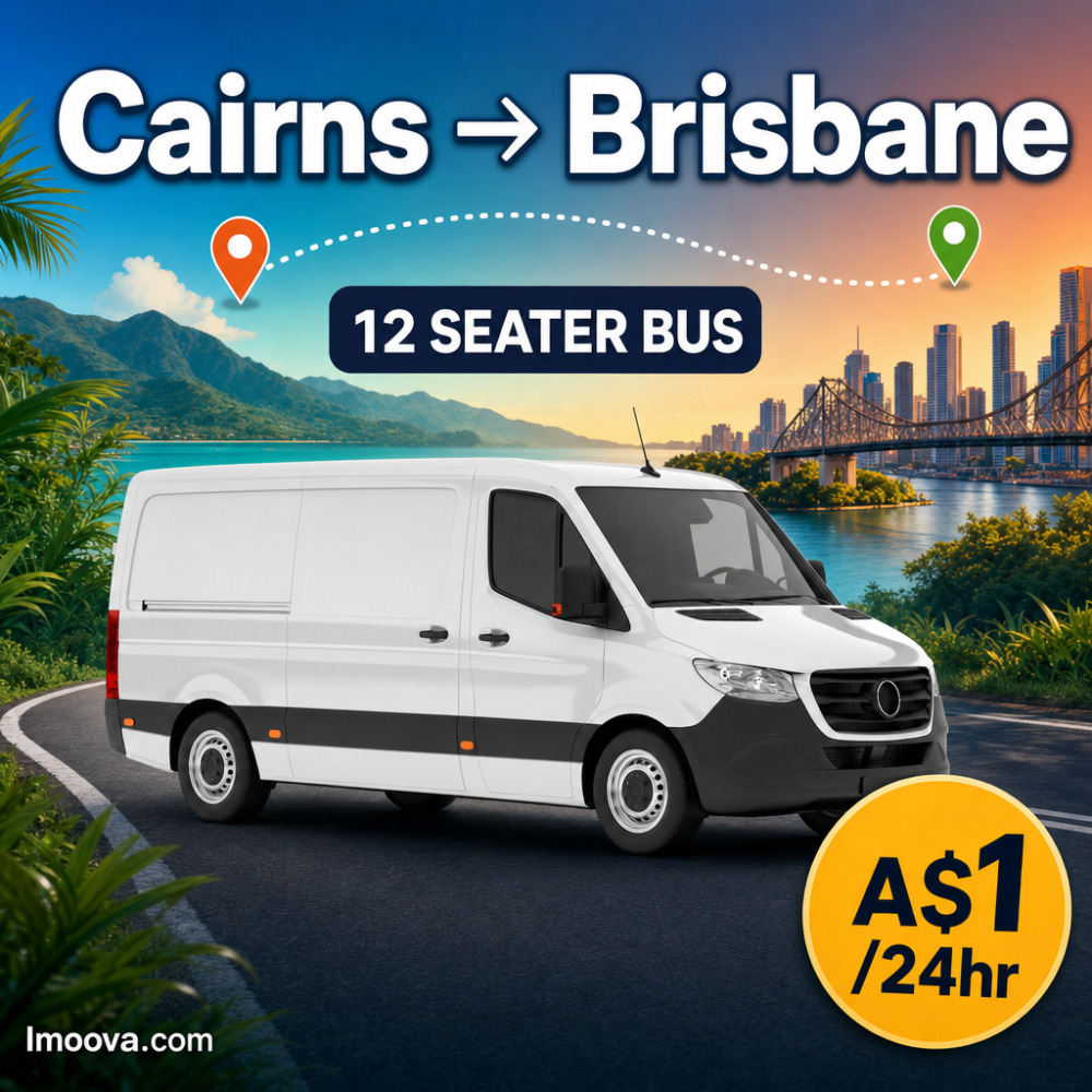12 SEATER BUS - image 1