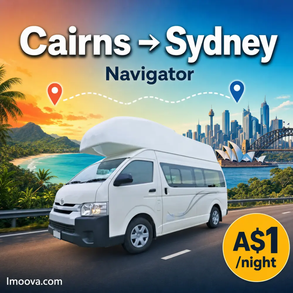Navigator - image 1