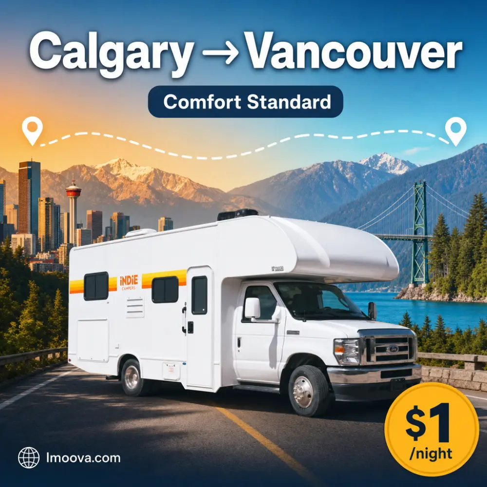 Comfort Standard - image 1