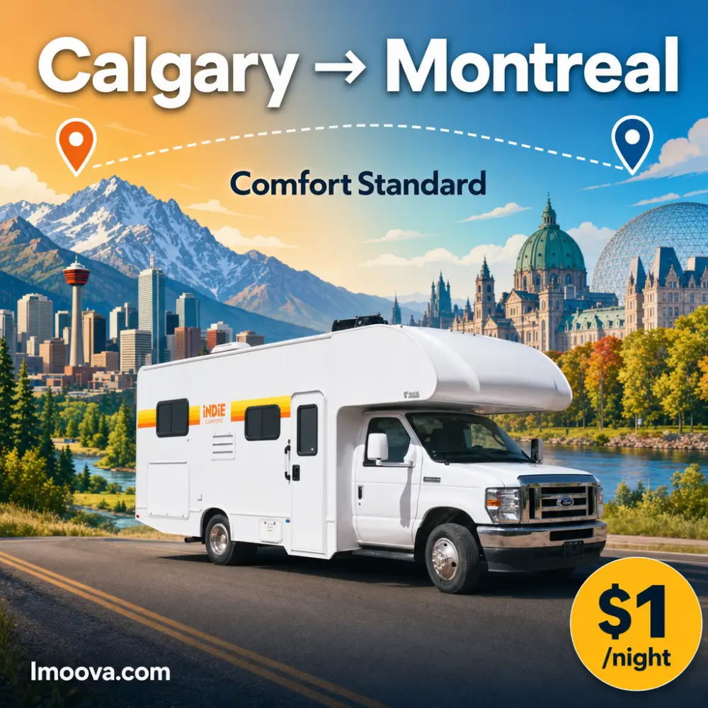 Comfort Standard - image 1