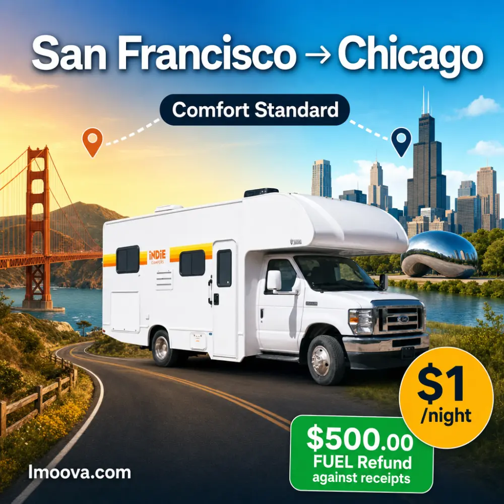 Comfort Standard - image 1