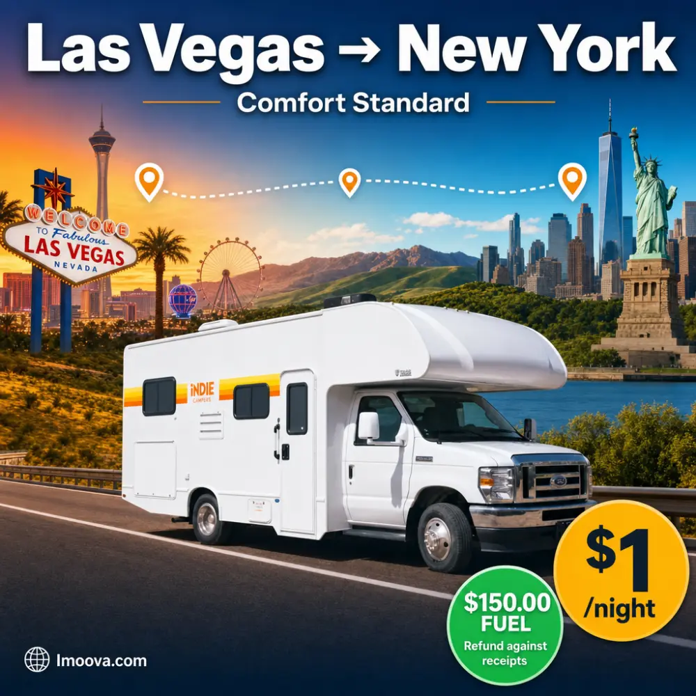 Comfort Standard - image 1