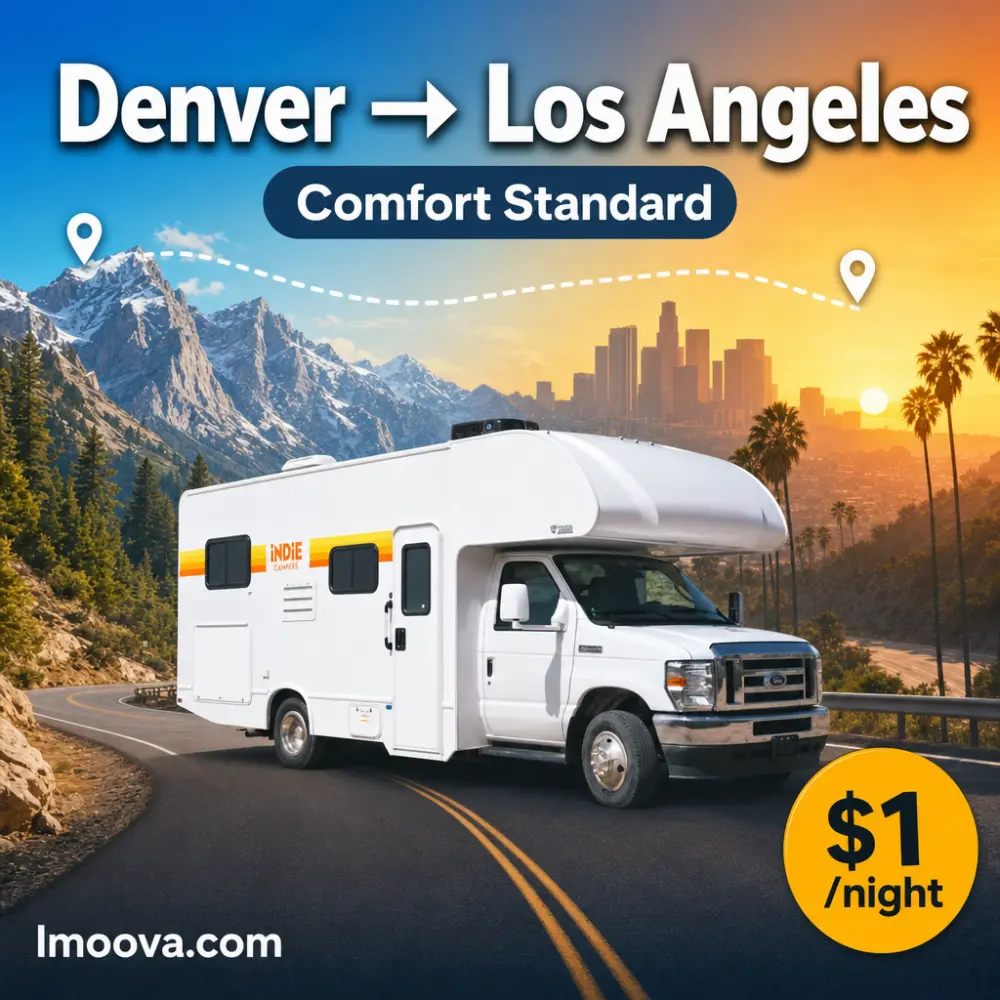 Comfort Standard - image 1