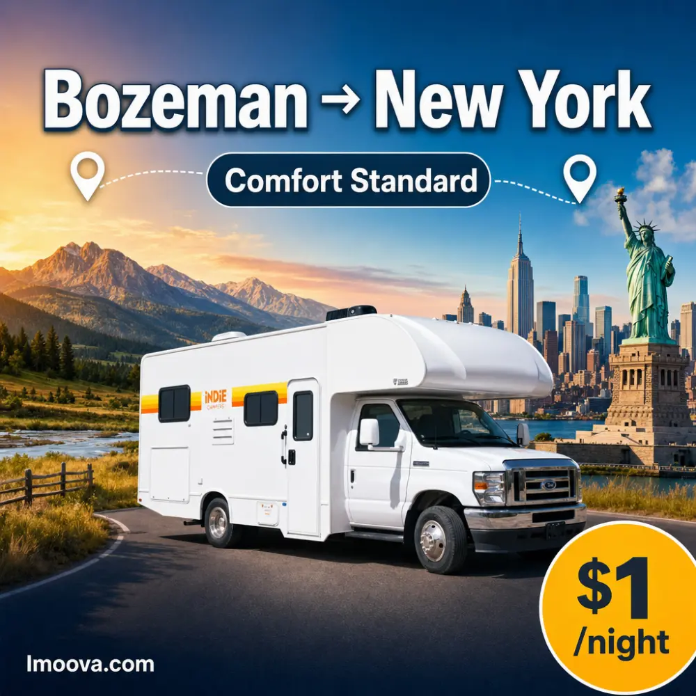 Comfort Standard - image 1