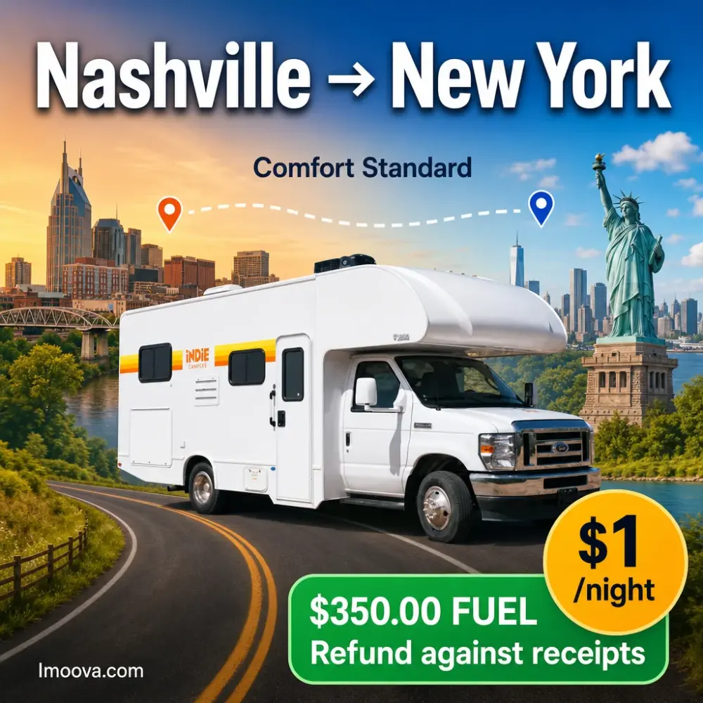 Comfort Standard - image 1