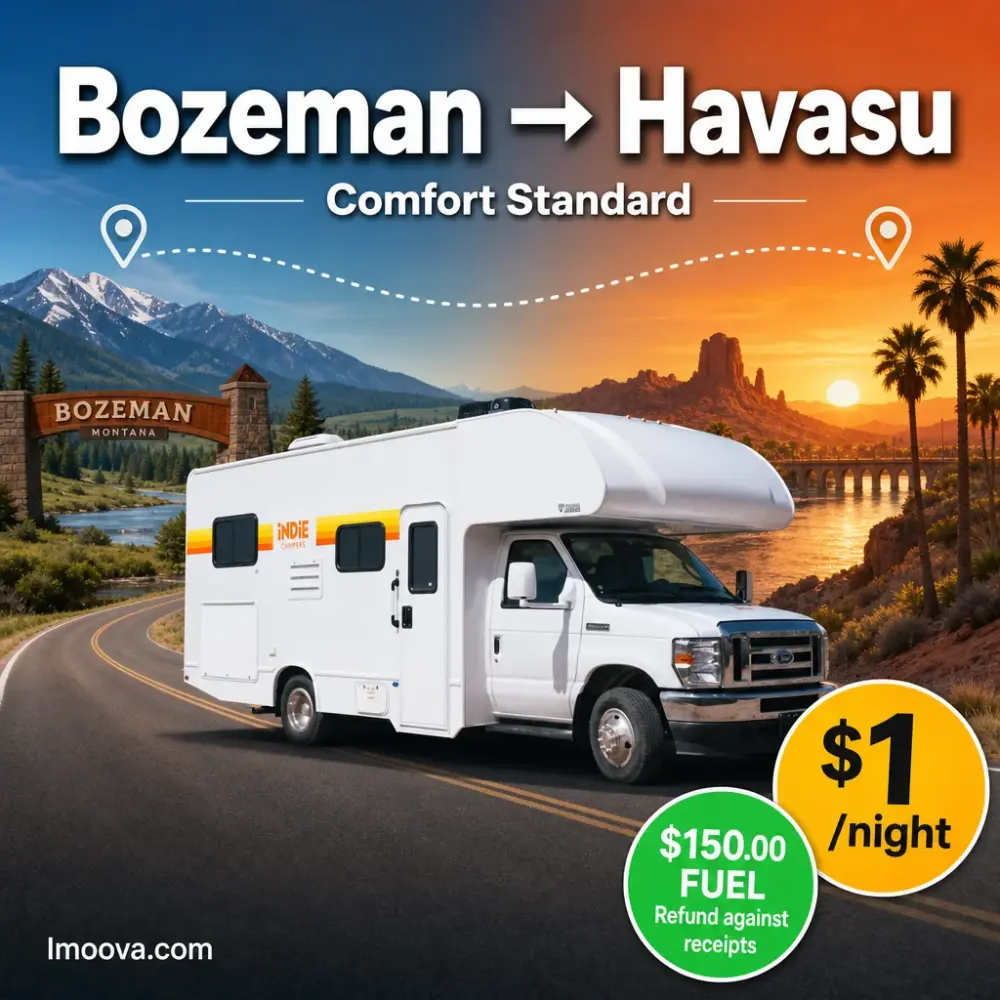 Comfort Standard - image 1