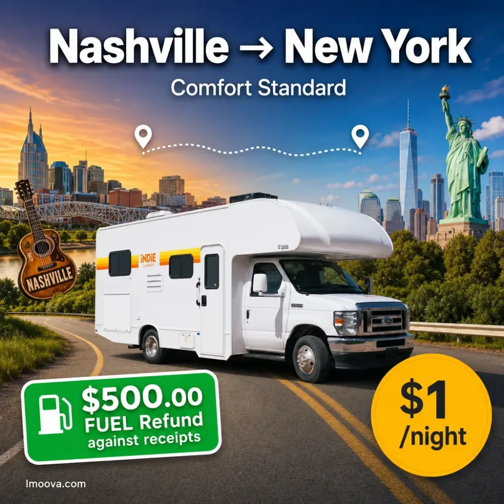 Comfort Standard - image 1