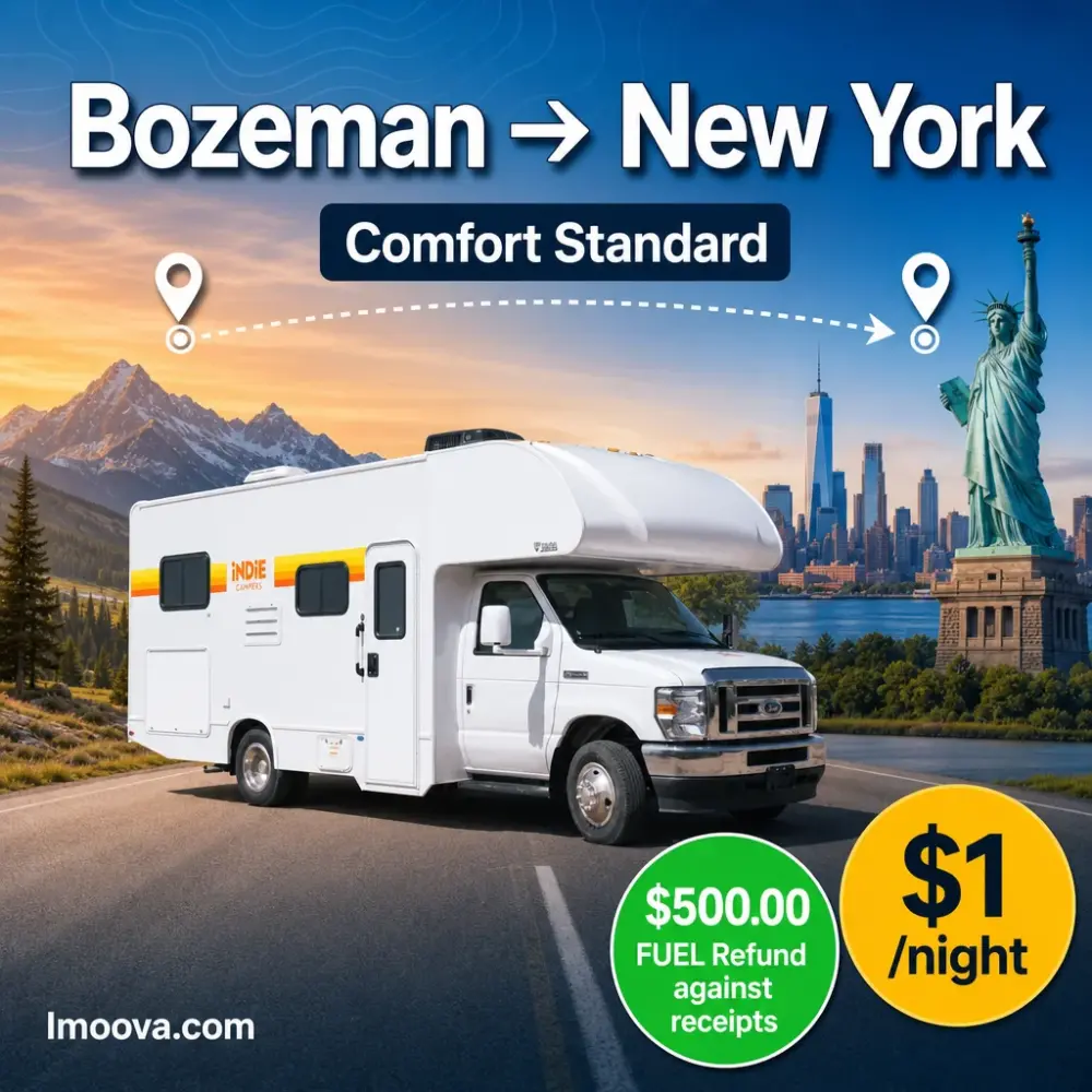 Comfort Standard - image 1