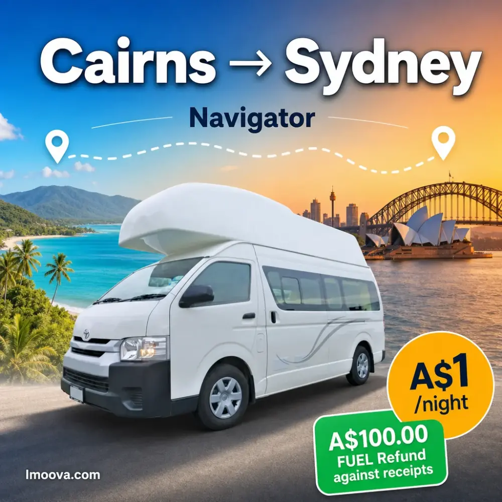 Navigator - image 1