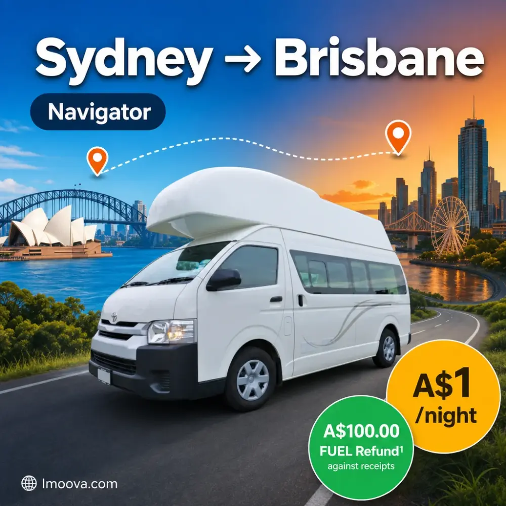 Navigator - image 1