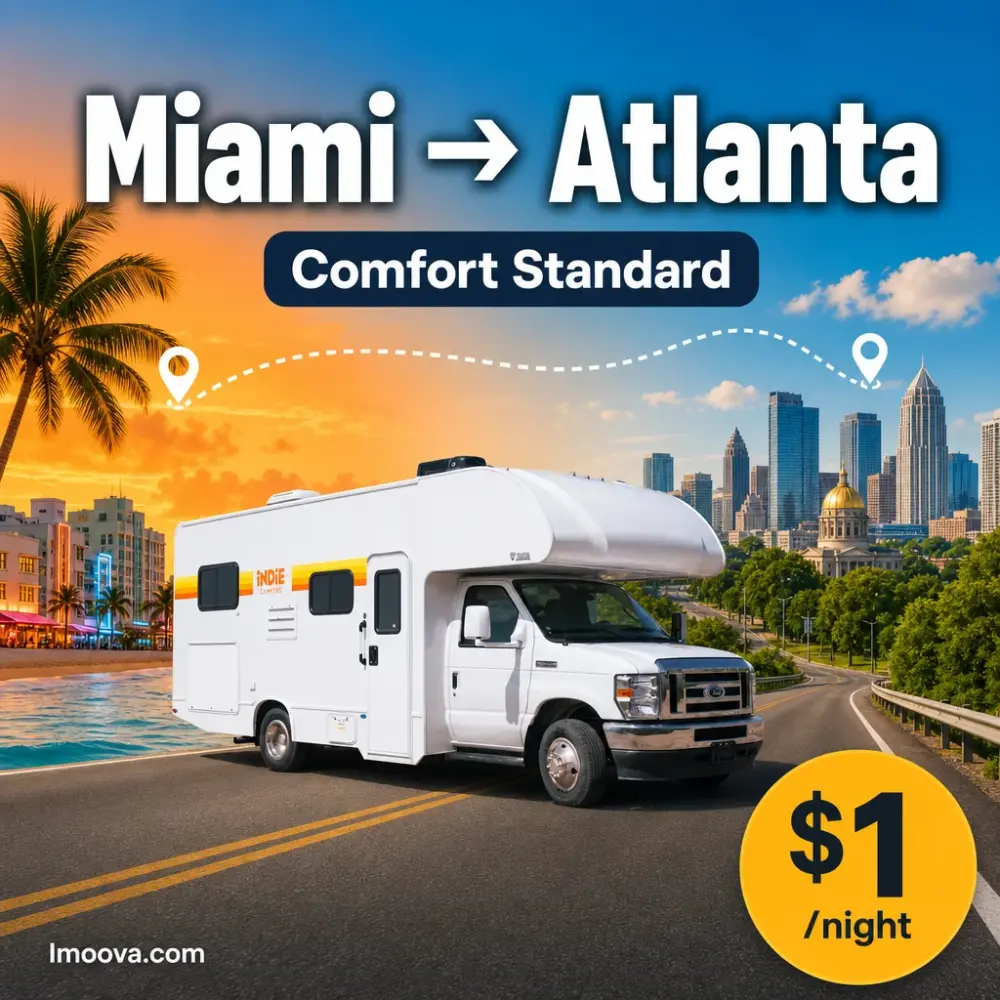 Comfort Standard - image 1