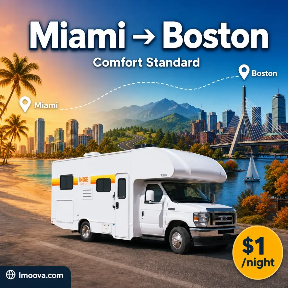 Comfort Standard - image 1