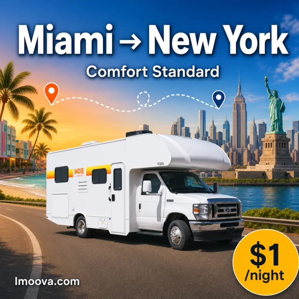 Comfort Standard - image 1