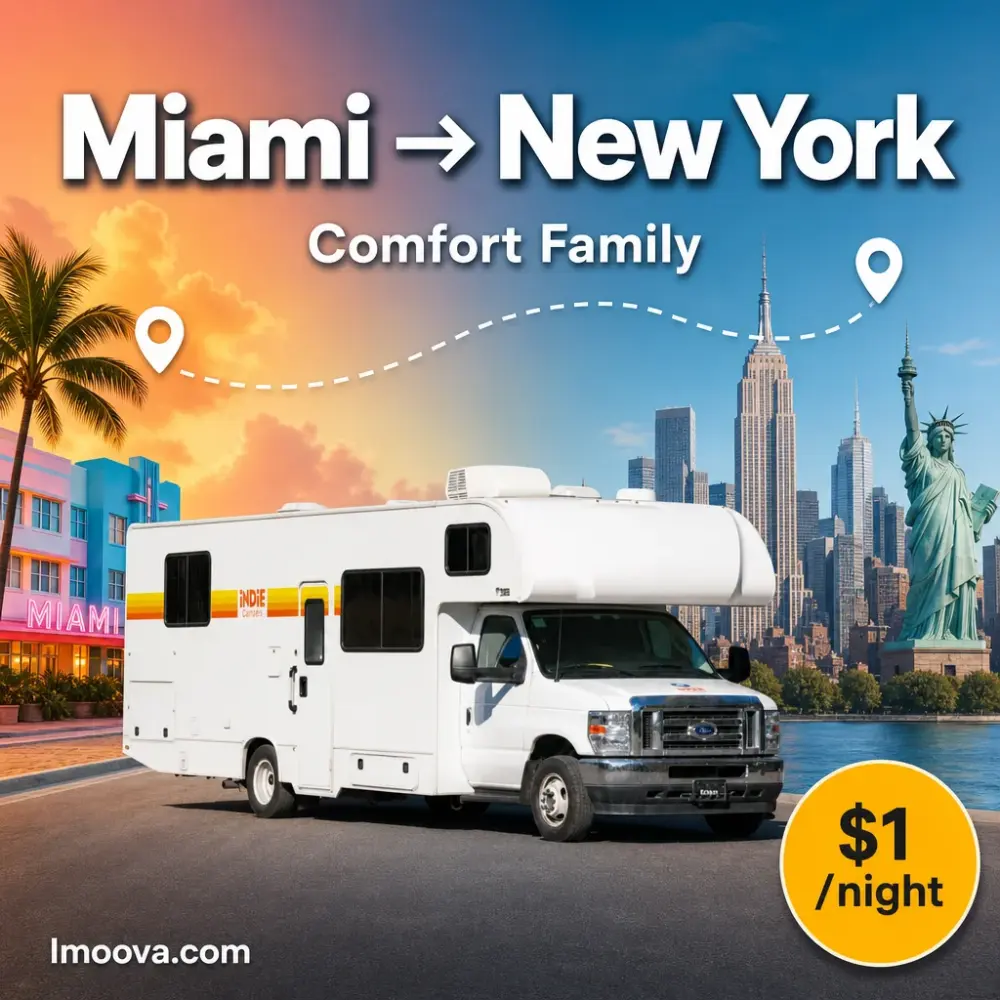 Comfort Family - image 1