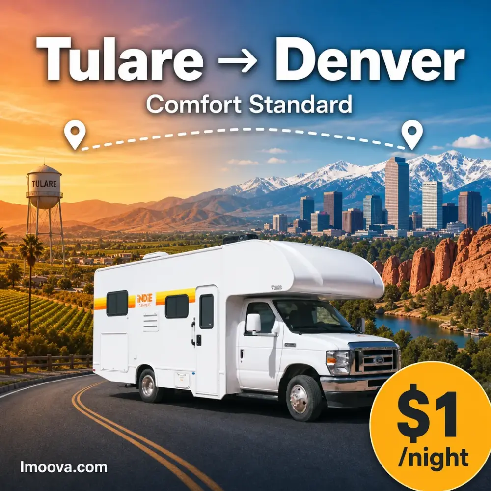 Comfort Standard - image 1