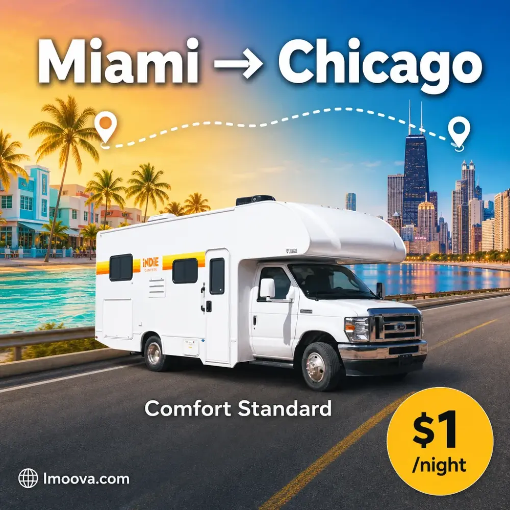 Comfort Standard - image 1