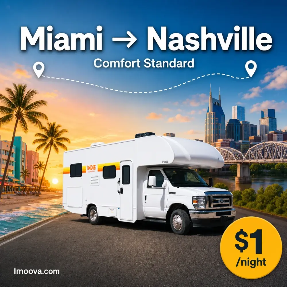Comfort Standard - image 1